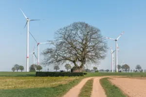 what are renewable energy certificates