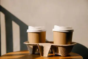 what is sustainable packaging