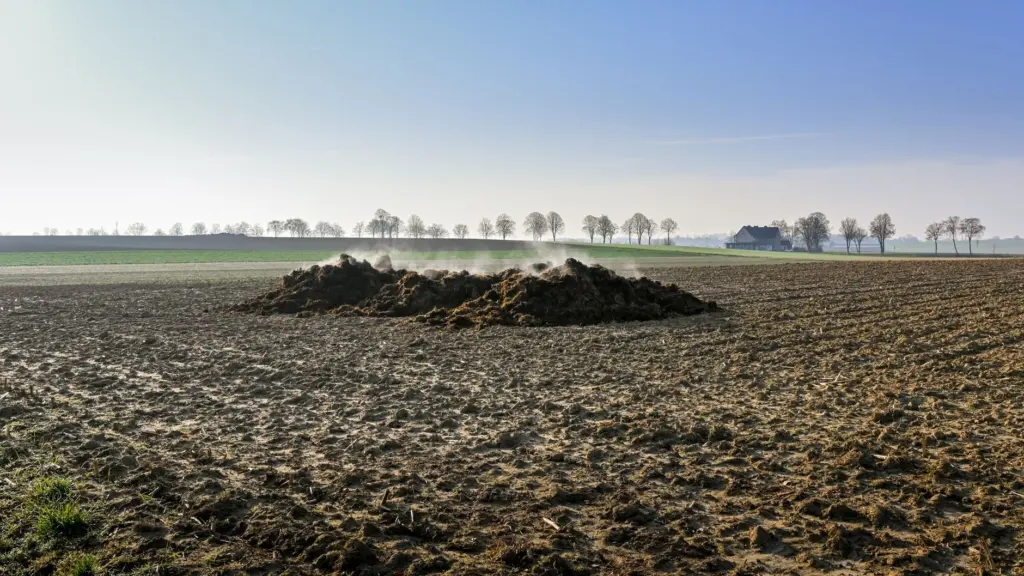 Composting Horse Manure: A Simple 6-Step Guide To Safe, Nutrient‑Rich Compost In 2026
