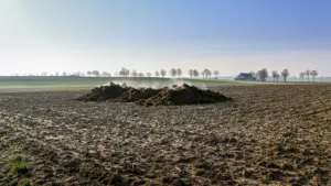 how to compost horse manure