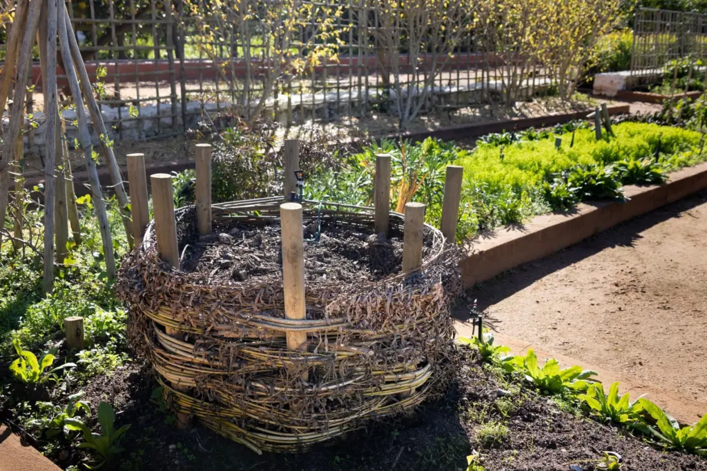 How To Layer A Compost Bin: A Simple Step-By-Step Guide For Faster, Odor-Free Composting